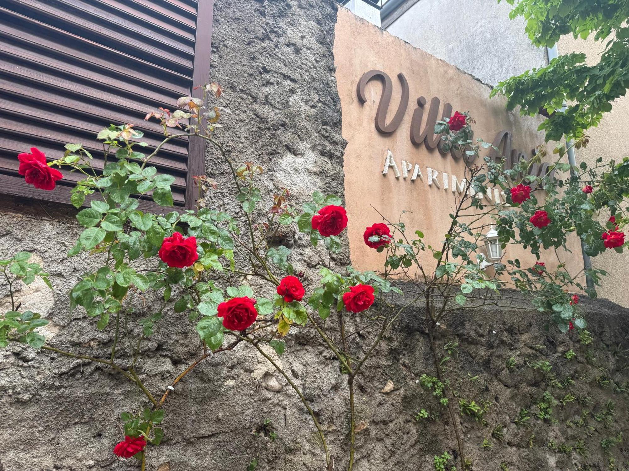Villa Anja Apartments モスタル エクステリア 写真